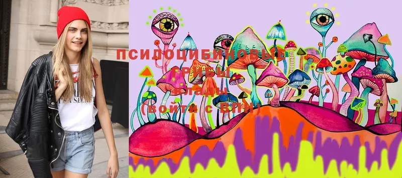 Псилоцибиновые грибы Magic Shrooms  Медынь 